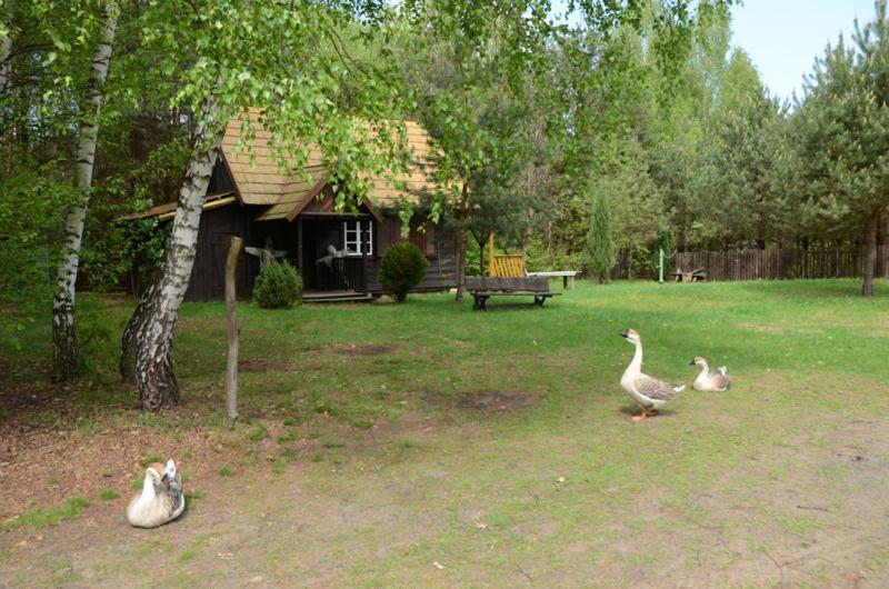 Zagrodowa Osada Villa Kazimierz Dolny Kültér fotó